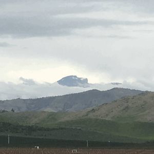 Meet your Posher, Don katrina